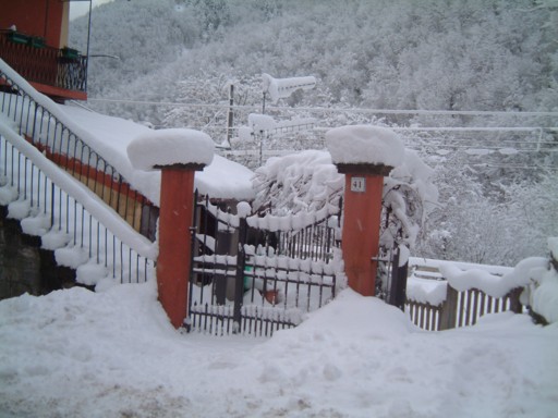  Image name: DSCF5083.JPG 
 width: 512 pixel 
 height: 384 pixel 
 Size: 54264 bytes 
 Click to enlarge 